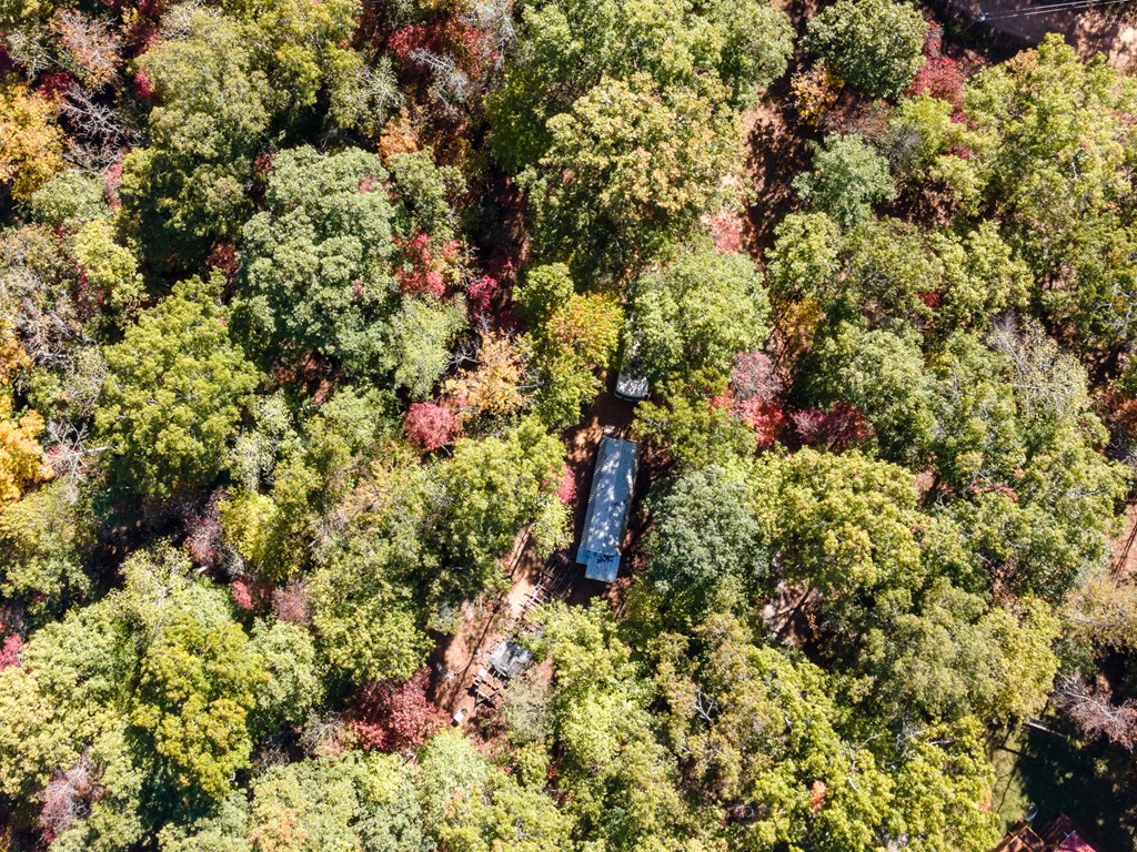 385 Cherokee Mine Rd