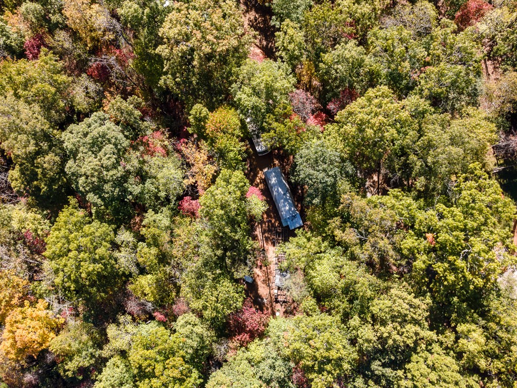 385 Cherokee Mine Rd