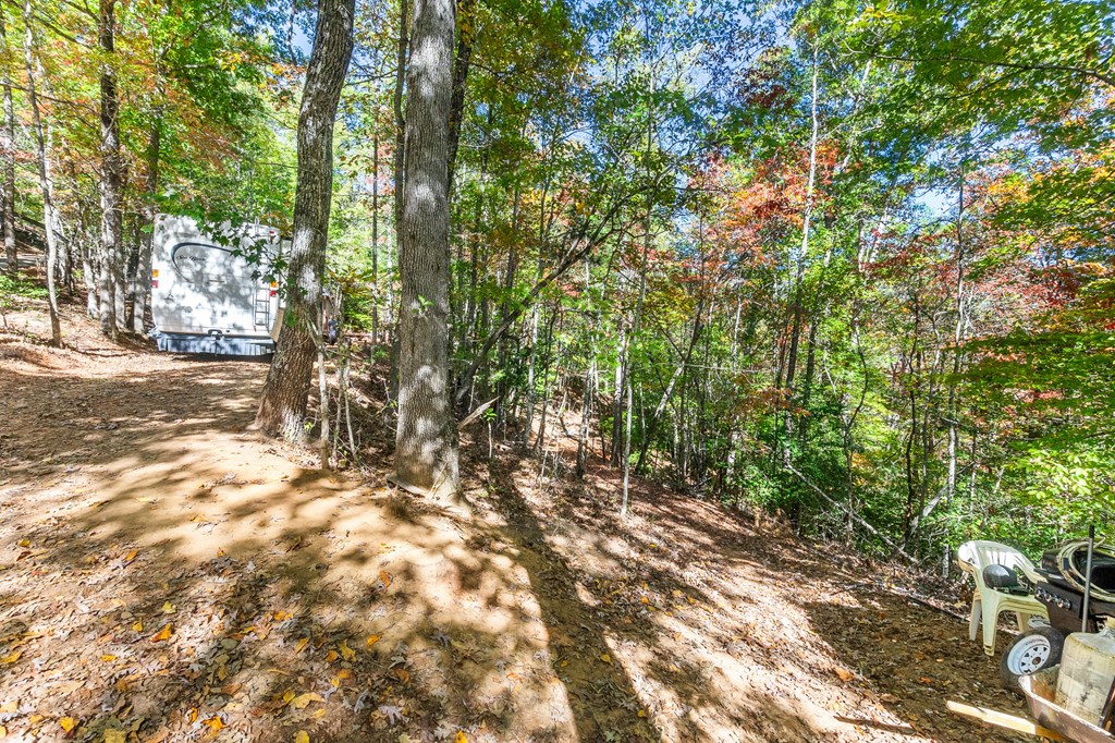 385 Cherokee Mine Rd