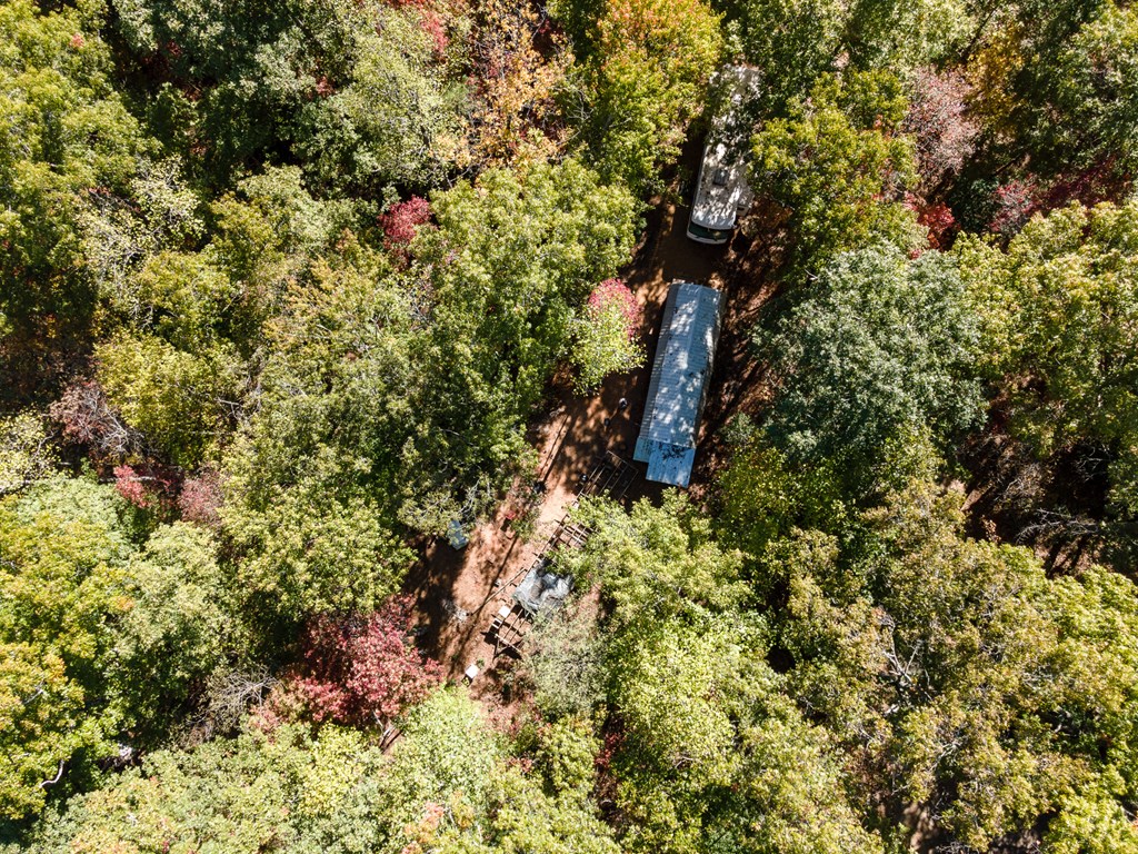 385 Cherokee Mine Rd