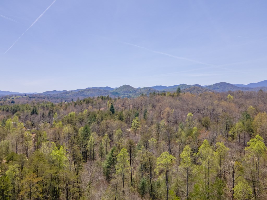 599 Red Oak Rd