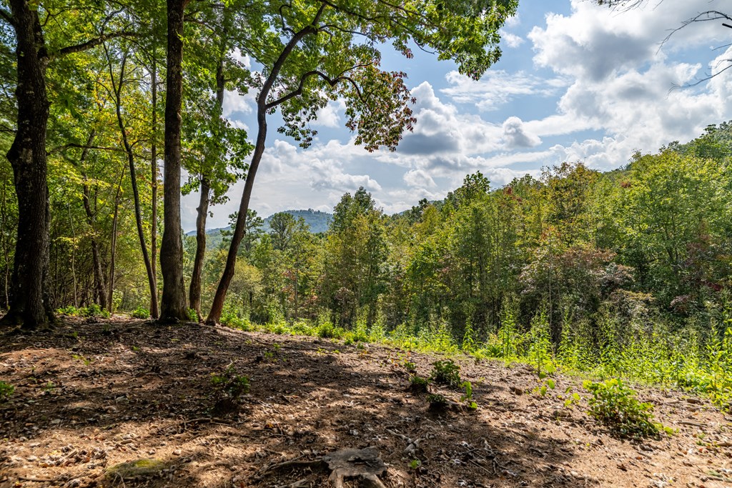 743 Rebel Ridge Road