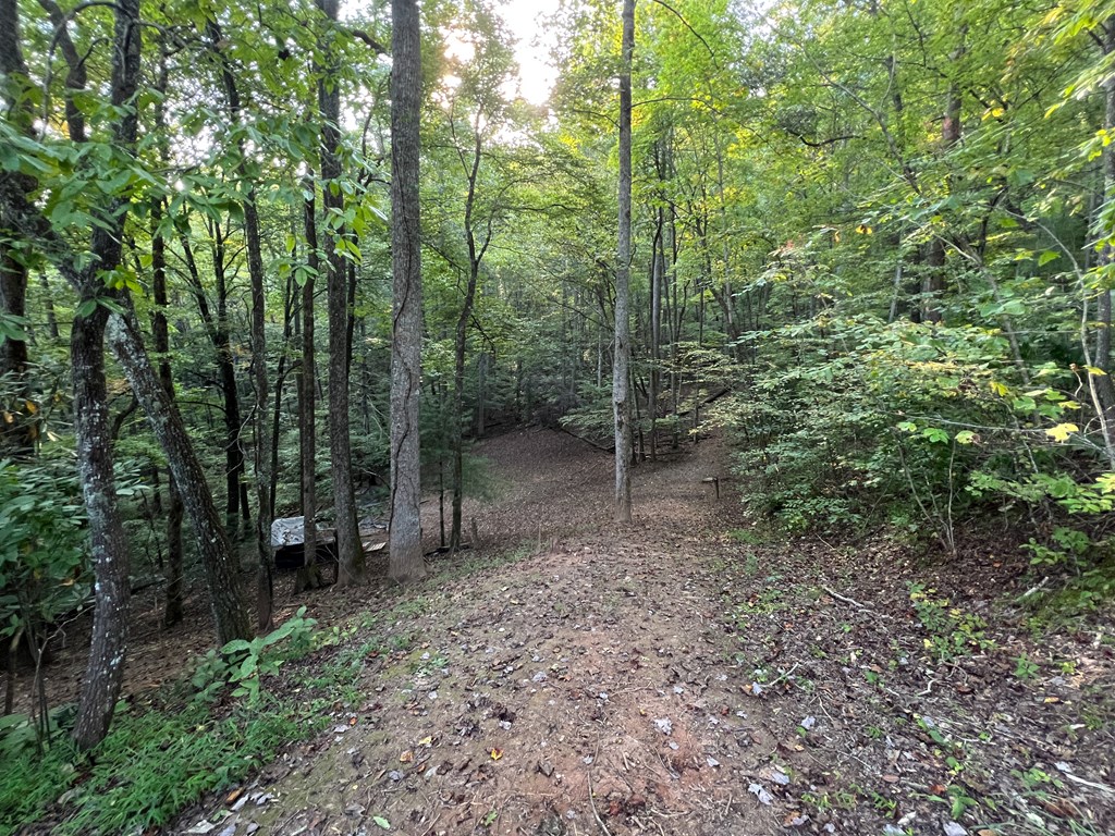 743 Rebel Ridge Road