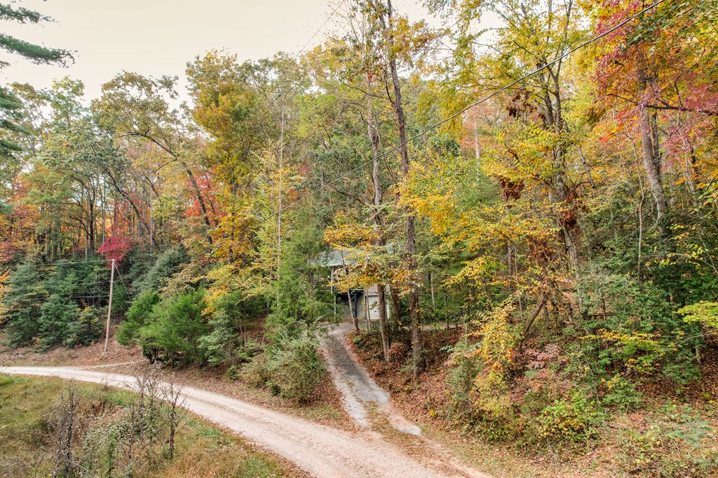 300 Caleb's Way, Franklin