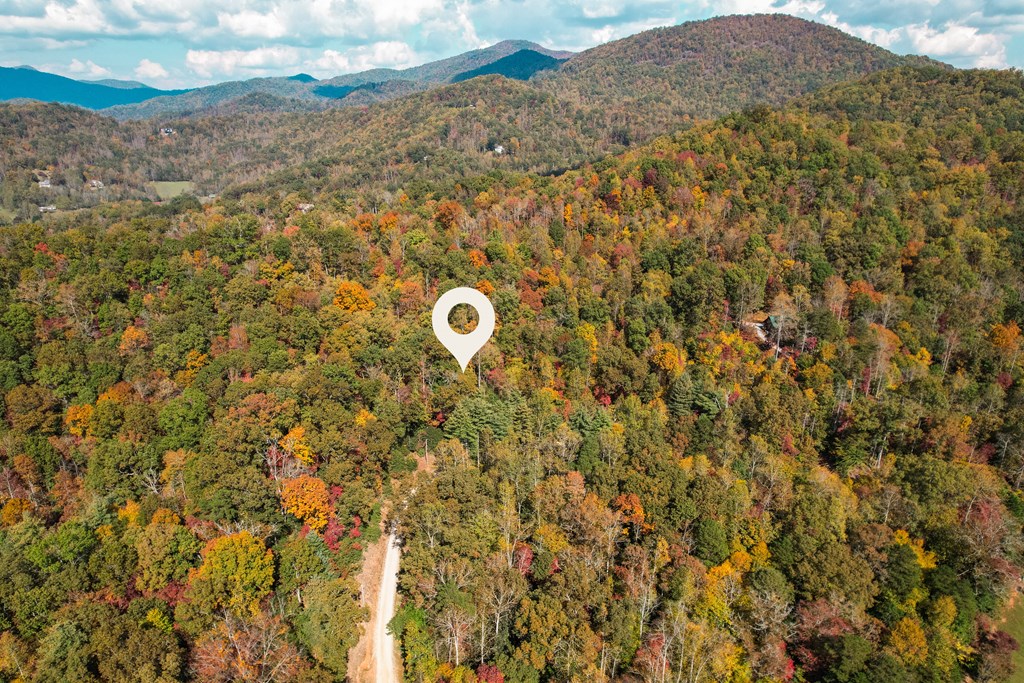 300 Caleb's Way, Franklin