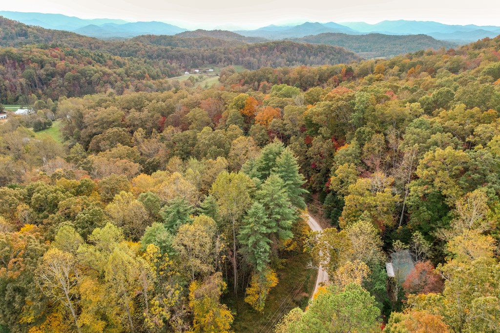 300 Caleb's Way, Franklin