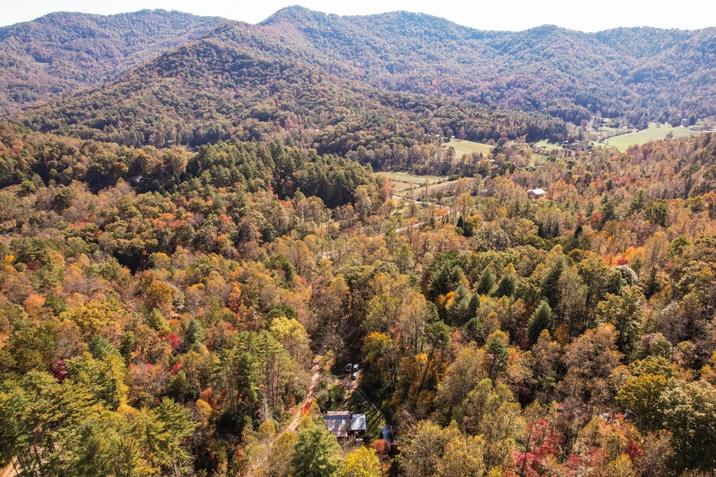 116 Hatfield Road, Franklin