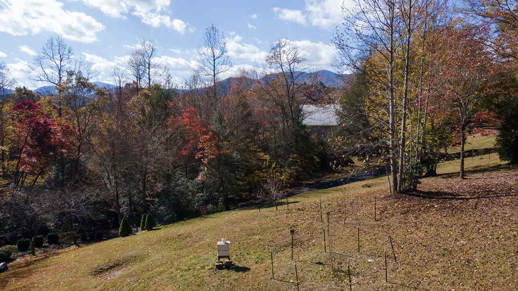 1777 Saldeer Mountain Road