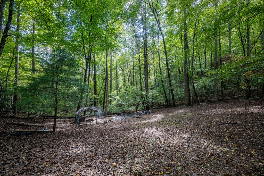 743 Rebel Ridge Road