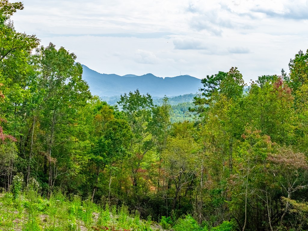 743 Rebel Ridge Road