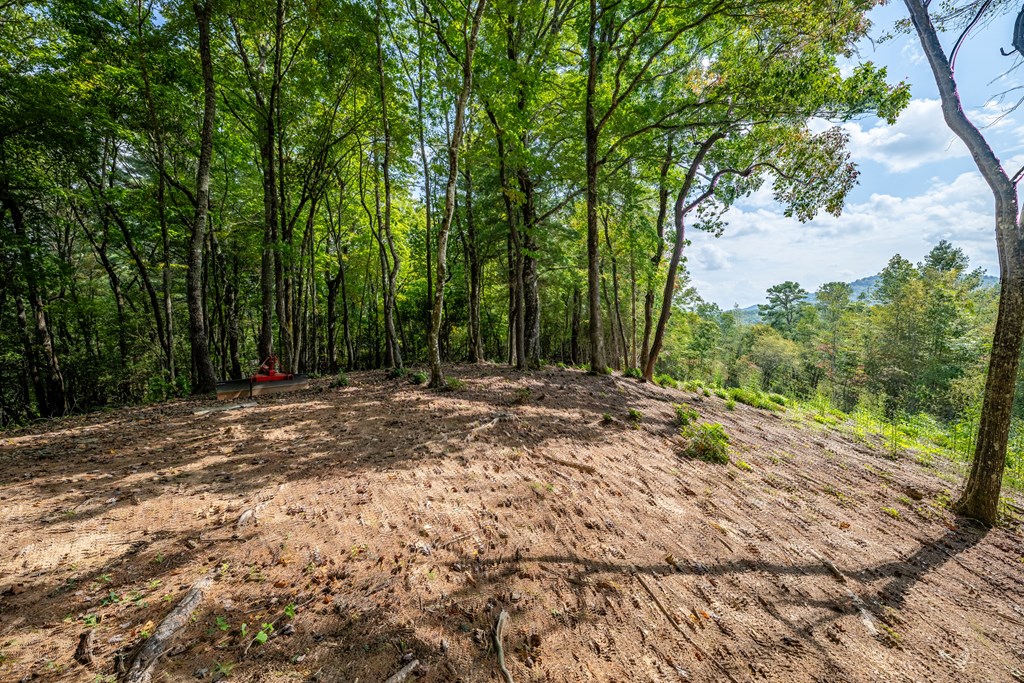 743 Rebel Ridge Road