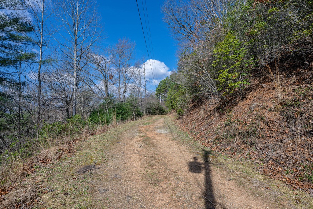 365 Fox Hollow Circle