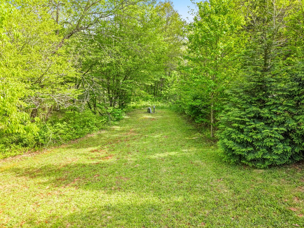 1550 River Rd