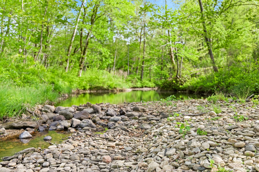 1550 River Rd