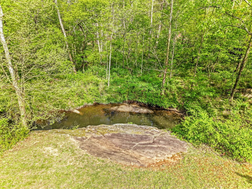 1550 River Rd