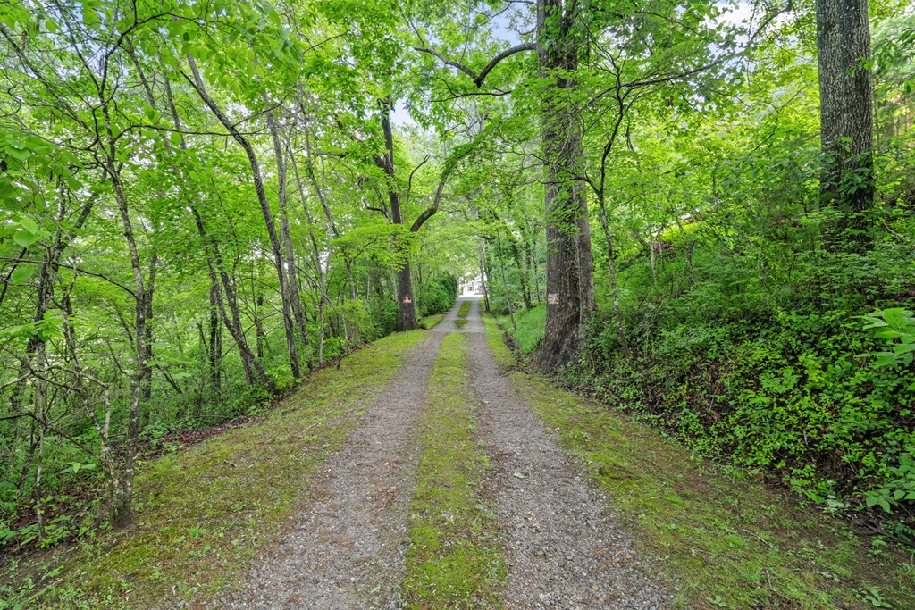 589 Noah Gibson Road