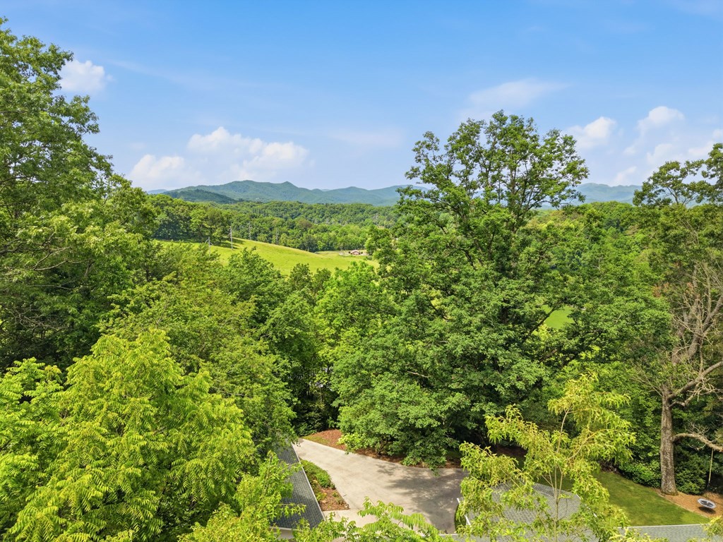 589 Noah Gibson Road