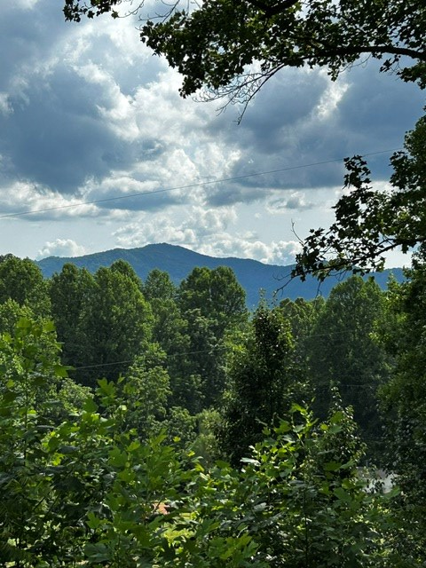 3175 Hwy 28S