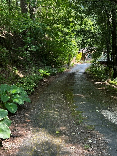 3175 Hwy 28S