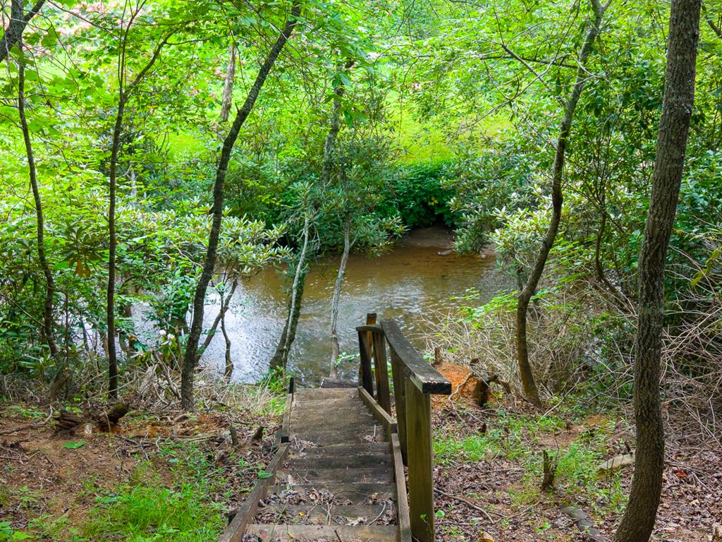 6800 Bryson City Road