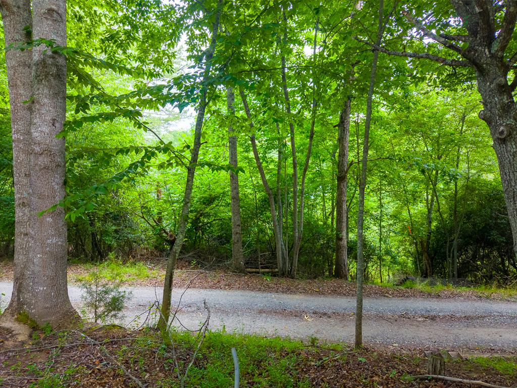6800 Bryson City Road