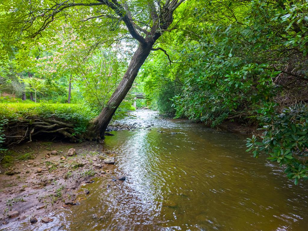 6800 Bryson City Road