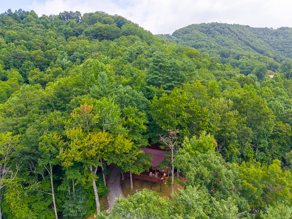 1804 Coon Creek Road