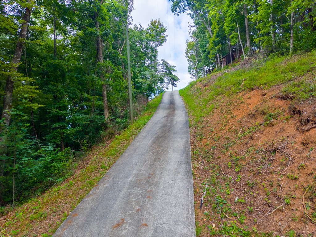 1804 Coon Creek Road