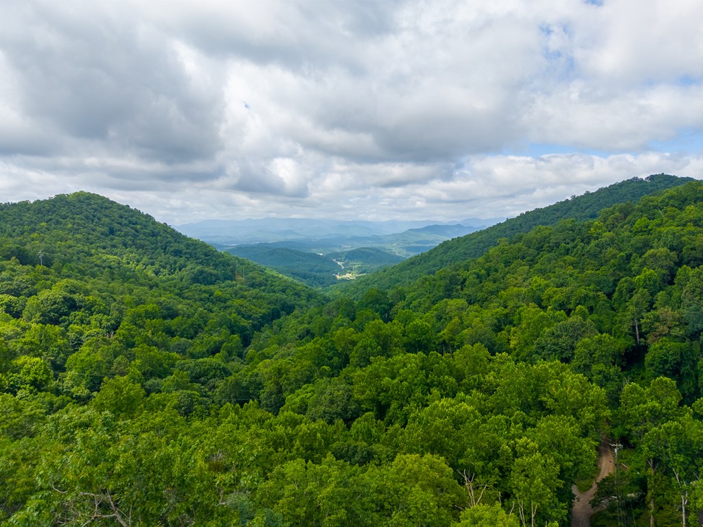 1804 Coon Creek Road