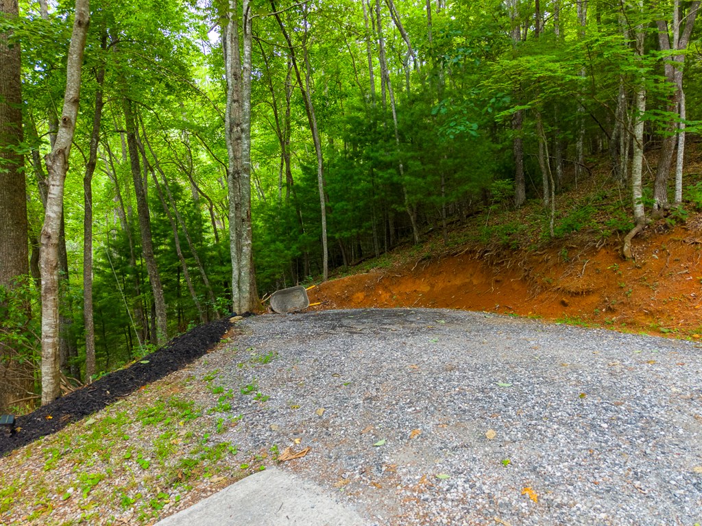 1804 Coon Creek Road