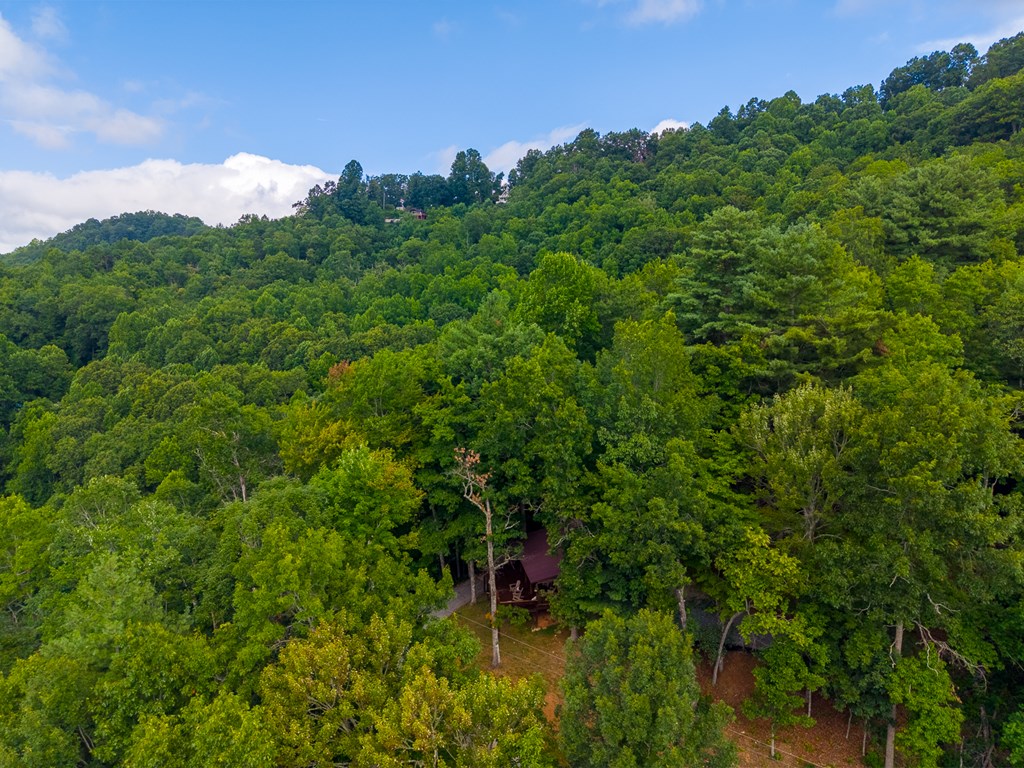 1804 Coon Creek Road