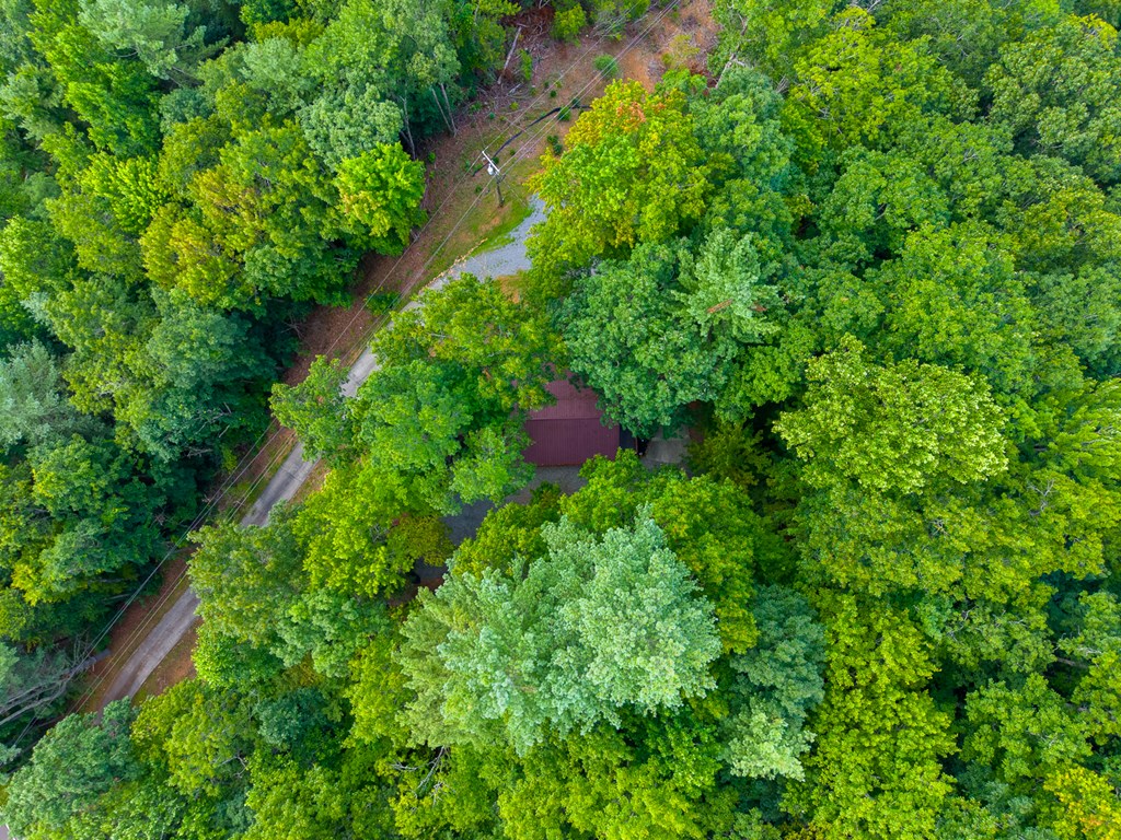 1804 Coon Creek Road