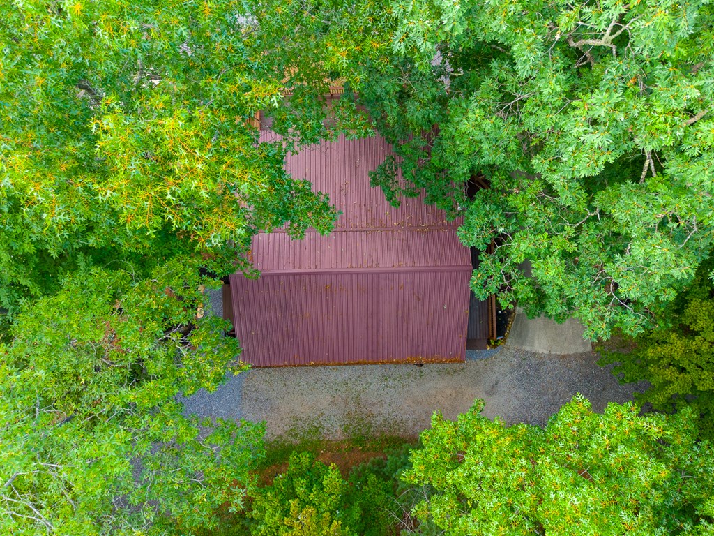 1804 Coon Creek Road
