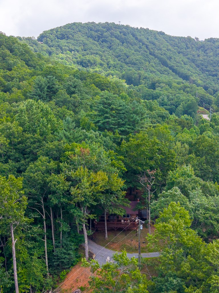 1804 Coon Creek Road