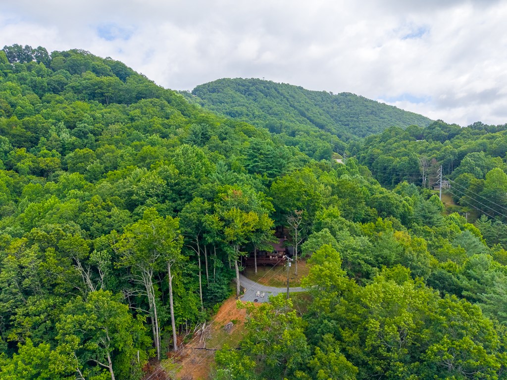 1804 Coon Creek Road