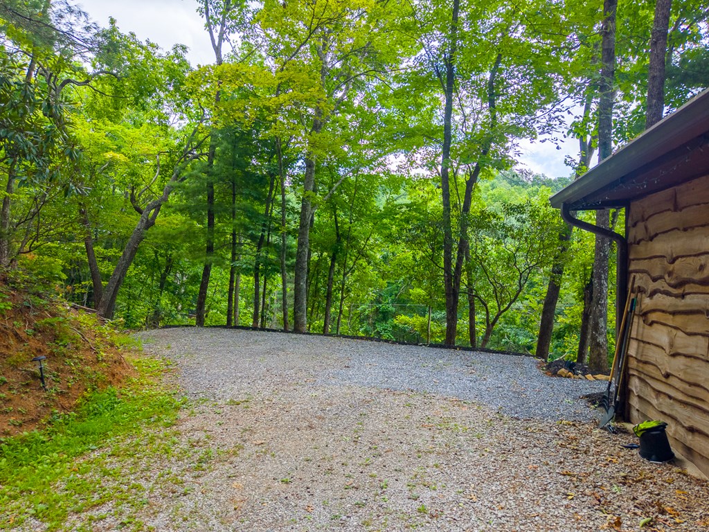 1804 Coon Creek Road