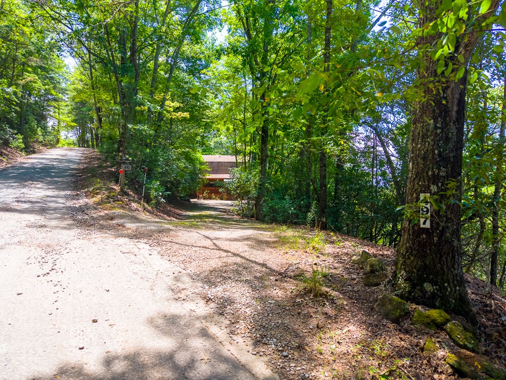 497 Bear Ridge Rd