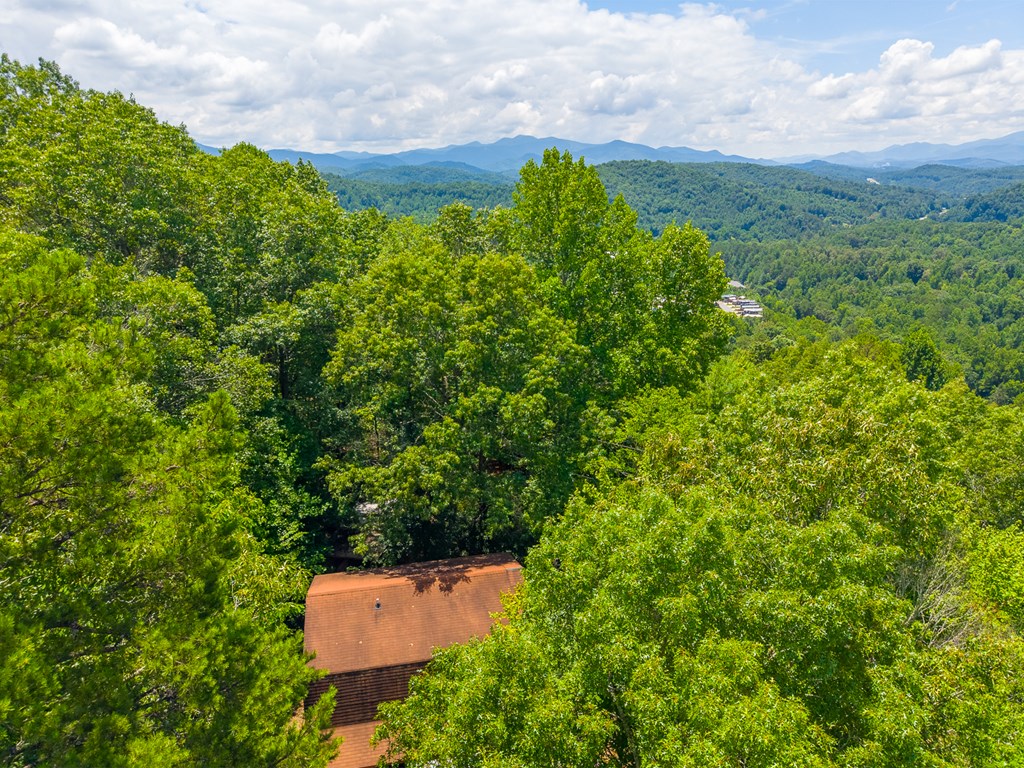 497 Bear Ridge Rd