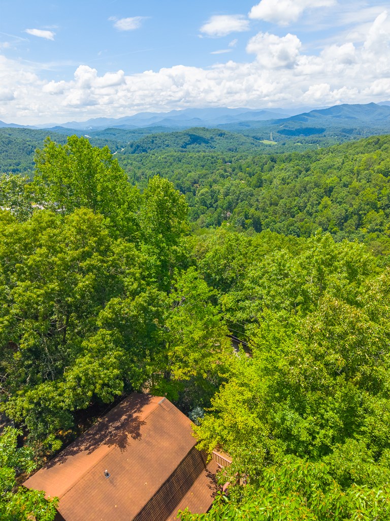 497 Bear Ridge Rd