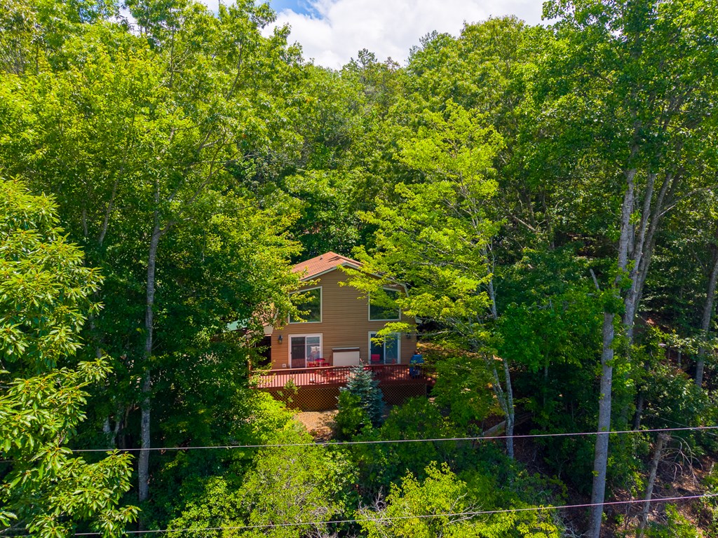 497 Bear Ridge Rd