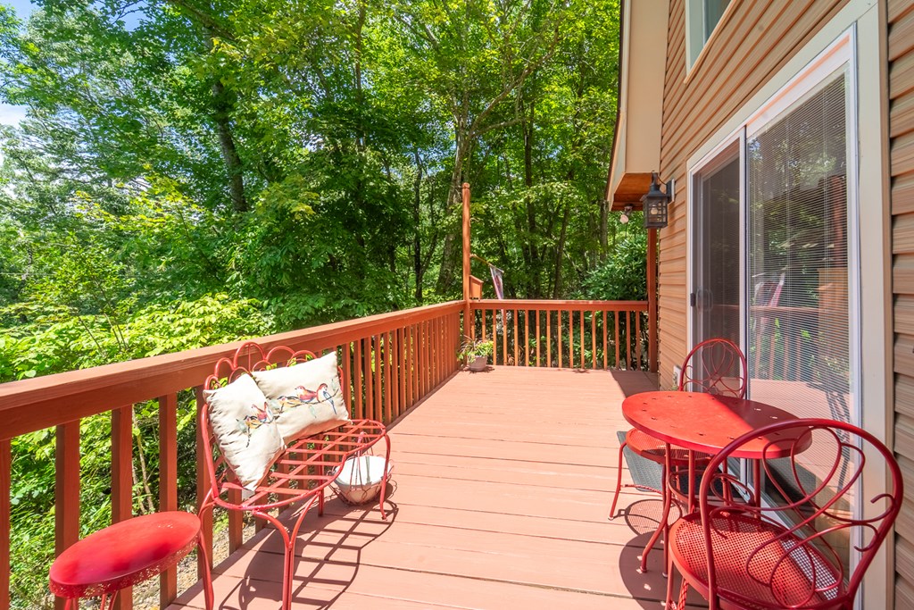 497 Bear Ridge Rd