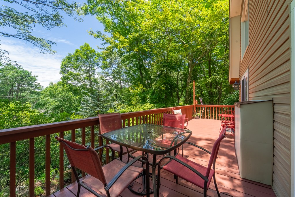 497 Bear Ridge Rd