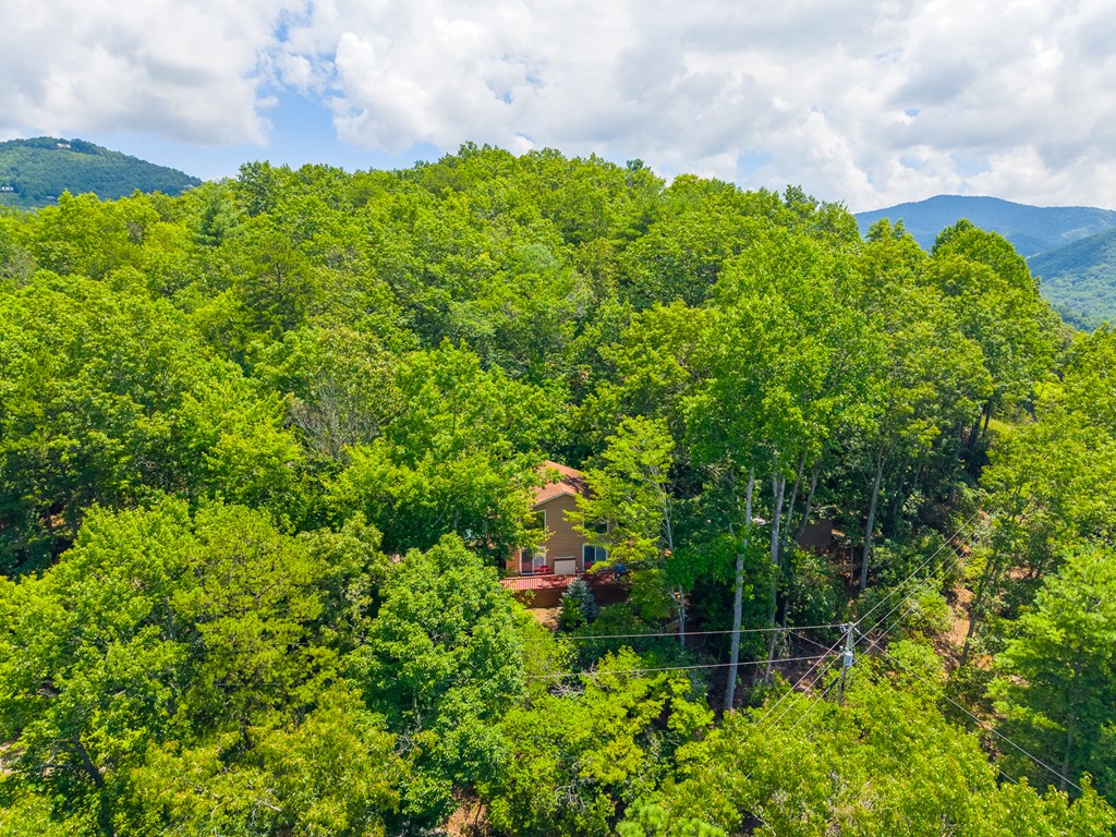 497 Bear Ridge Rd
