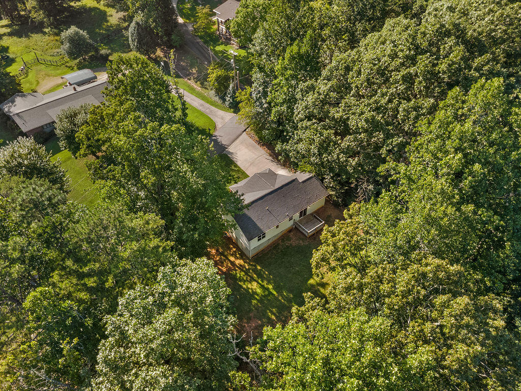 483 Wilkie Street