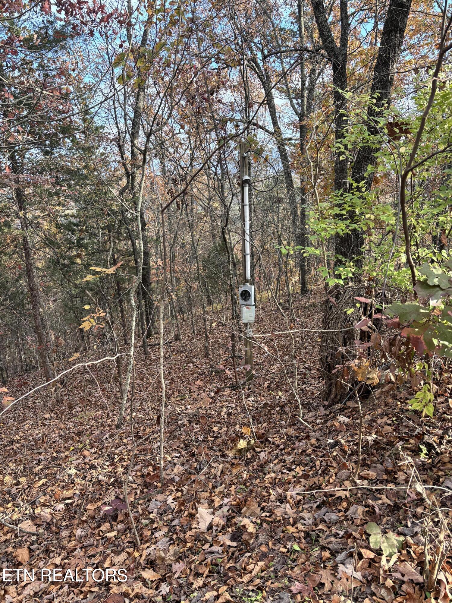 Smoky Mountain View Court