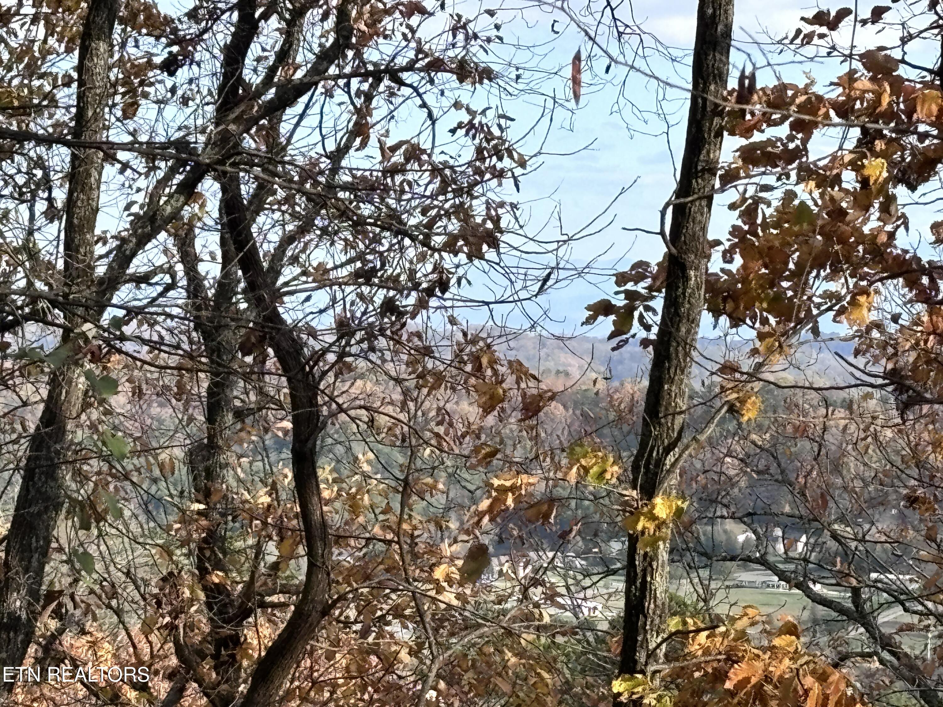 Smoky Mountain View Court