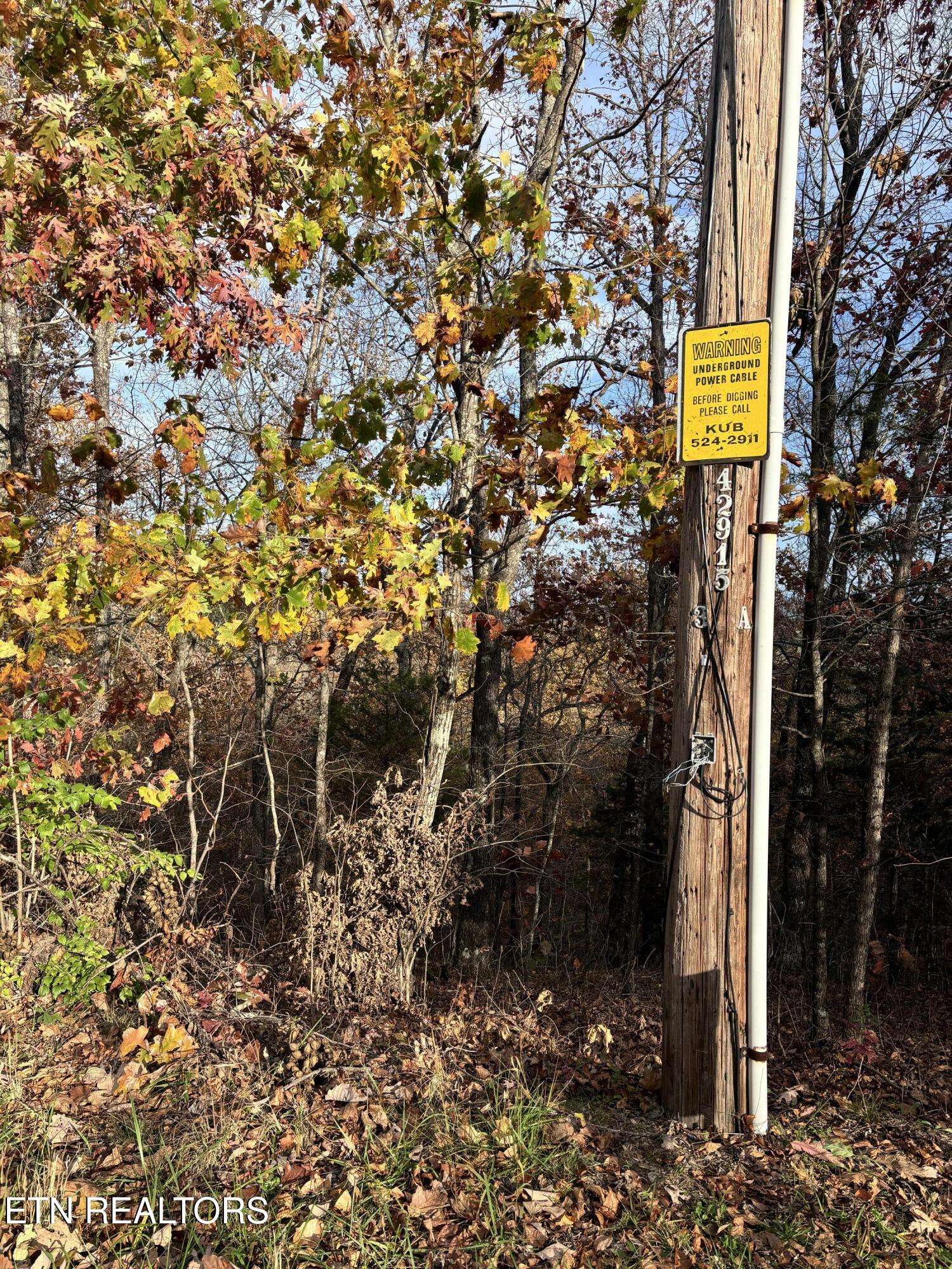 Smoky Mountain View Court