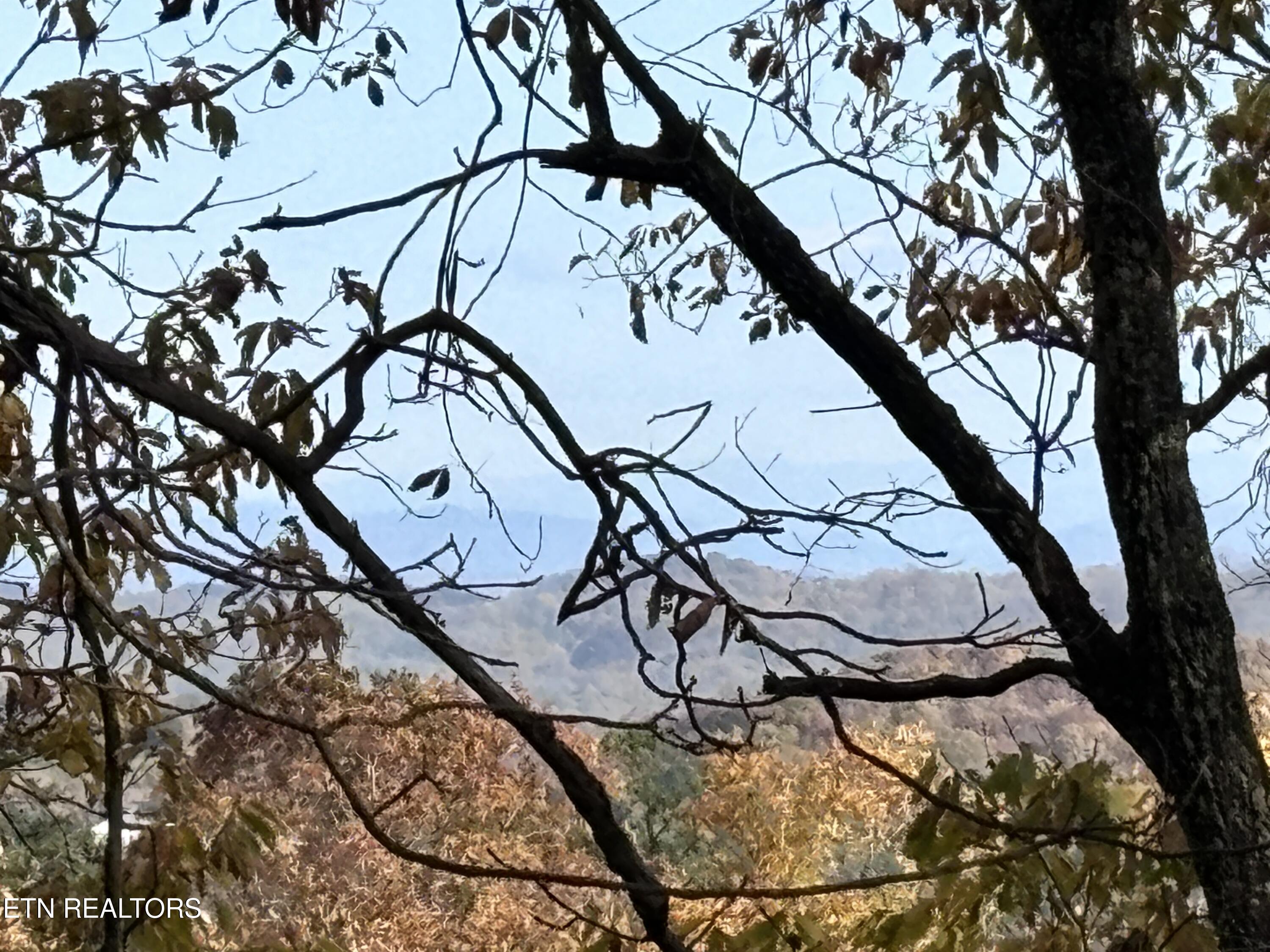 Smoky Mountain View Court