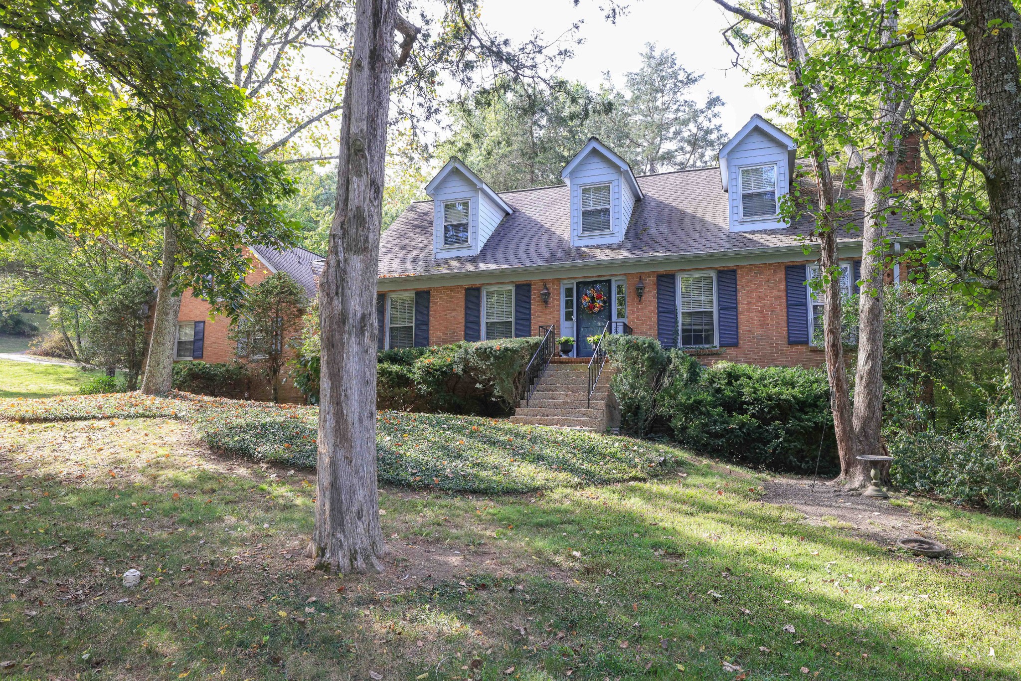 7017 Ellendale Dr
