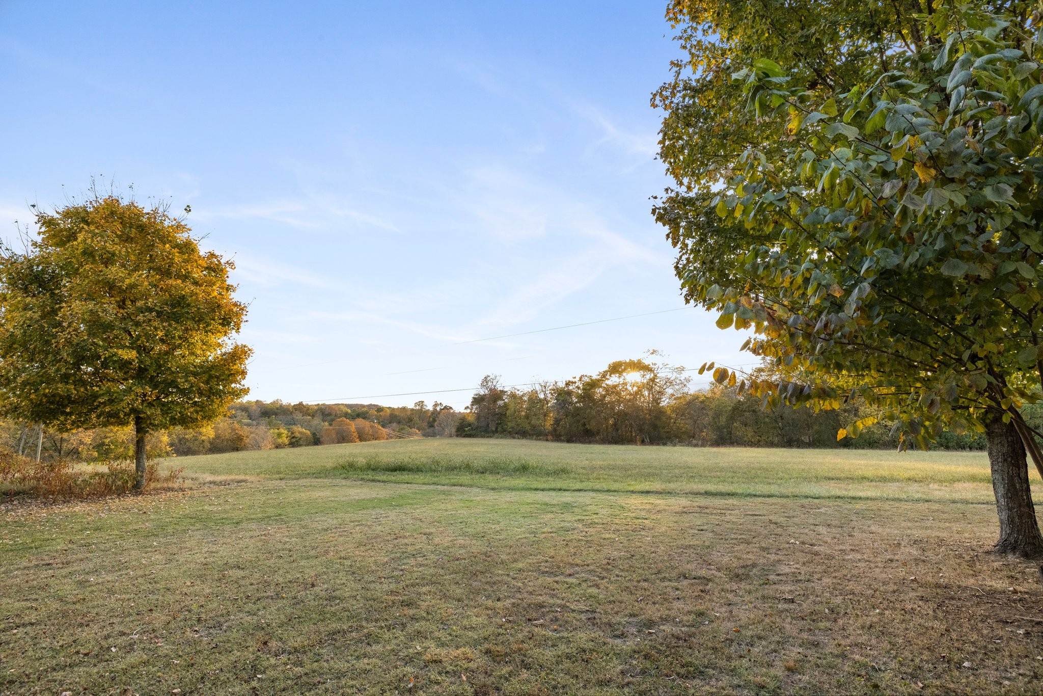 7924 Nolensville Rd
